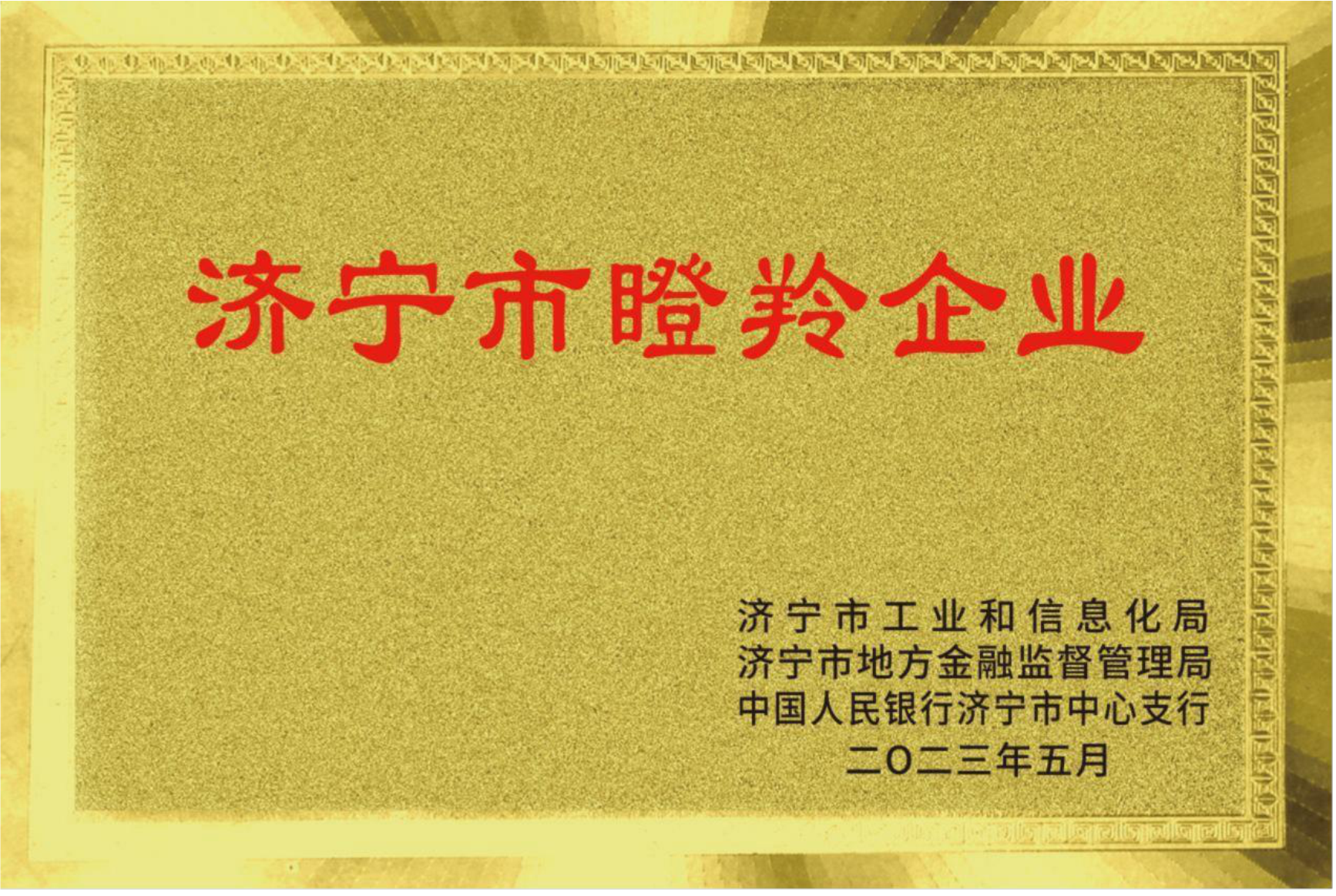 济宁市瞪羚企业